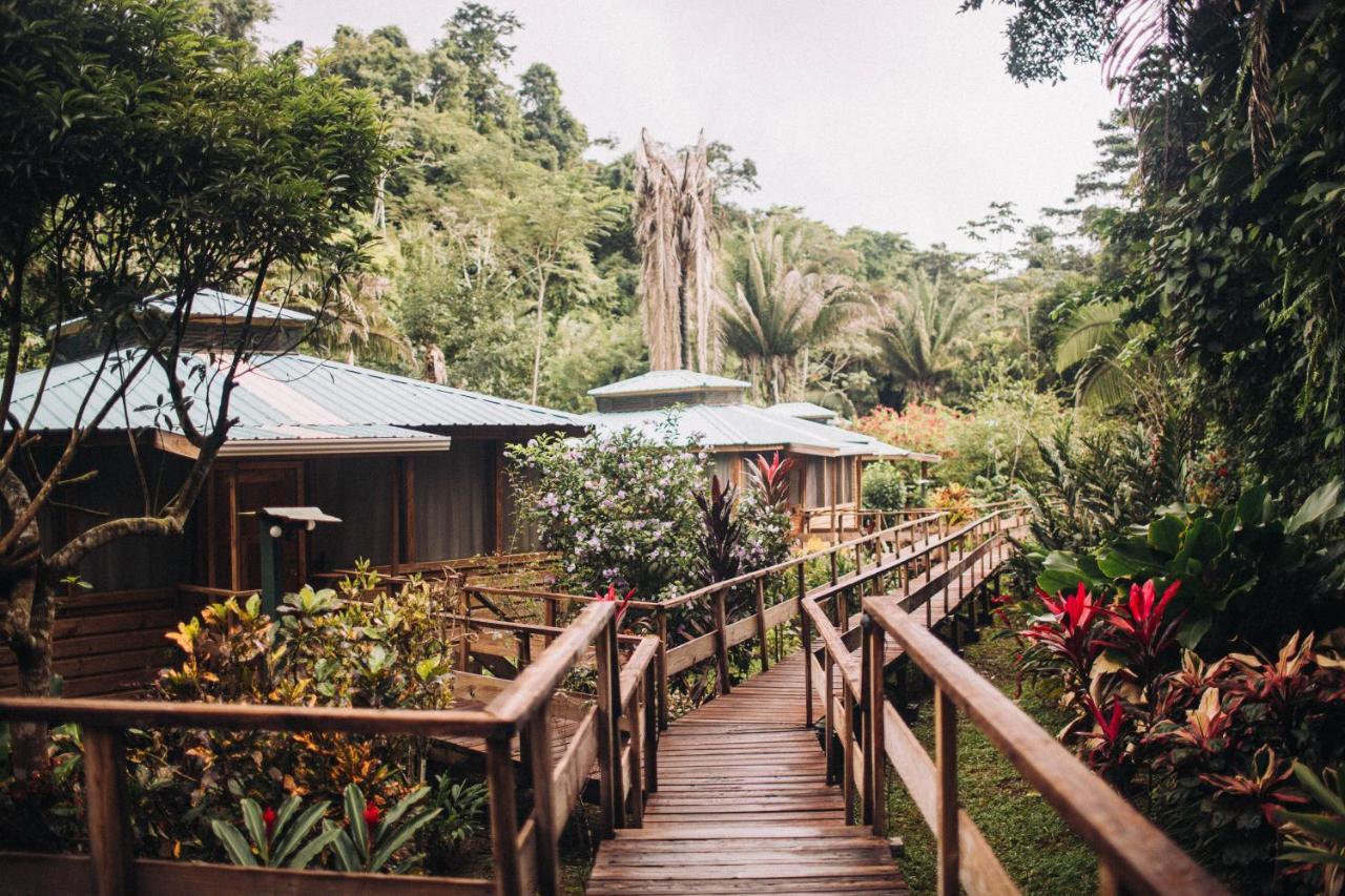 Jaguar Creek Hotel Good Living Camp Exterior foto